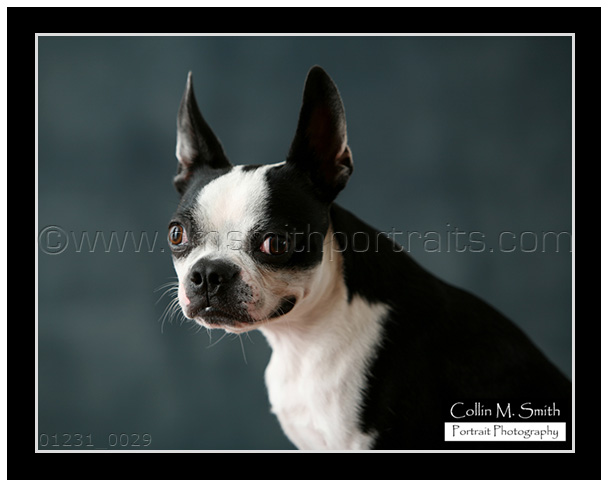 01231fb-029 01231fb-029